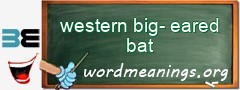 WordMeaning blackboard for western big-eared bat